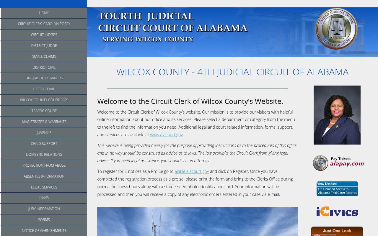 Wilcox County Circuit Court website showing court information and services
